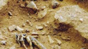 ¿Qué es la Prehistoria? Concepto y Etapas 5 prehistoria
