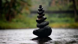 Los 10 Mejores Libros de Zen, Budismo y Taoísmo 5 mejores libros de zen