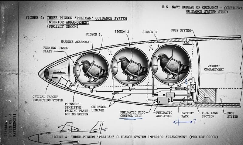 Proyecto Paloma: El arma secreta de B.F. Skinner y los misiles guiados por aves 2 proyecto paloma